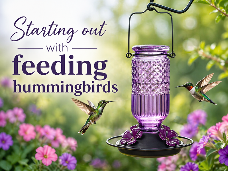 Purple hummingbird feeder with two hummingbirds flying nearby and feeding outdoors